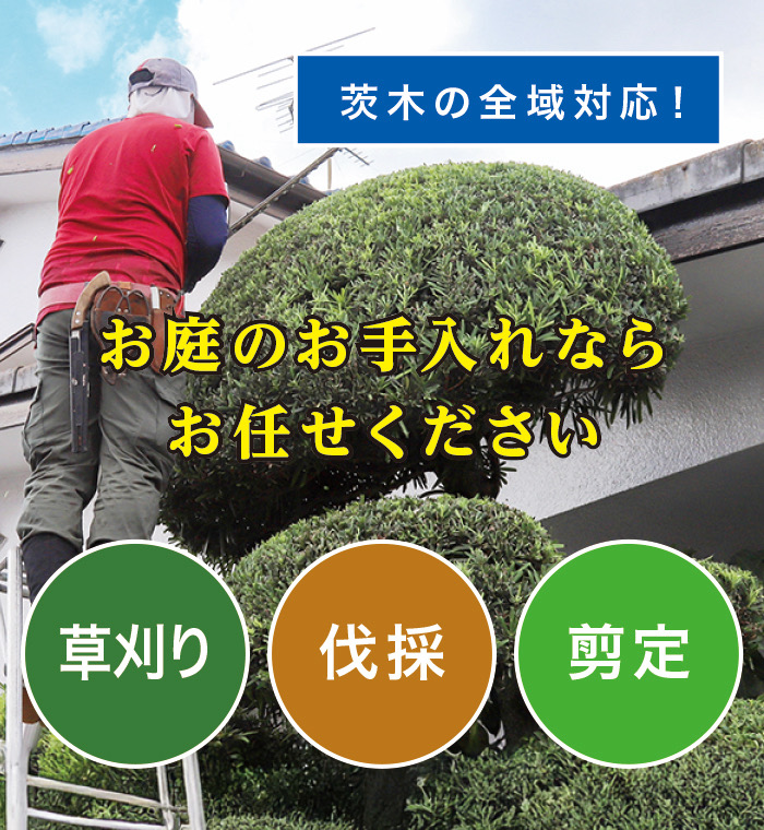 日立市で草刈り・剪定・伐採なら「お庭の大将」 日立市で草刈り・剪定・伐採なら「お庭の大将」