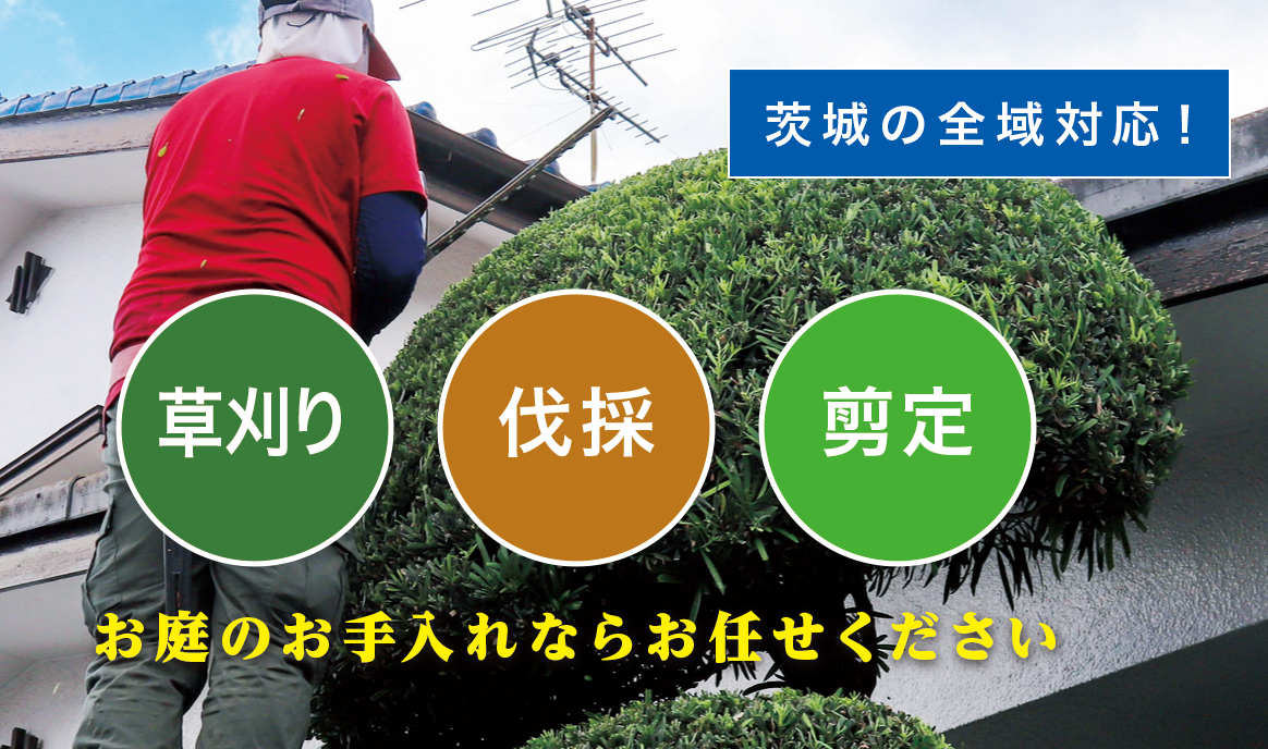 常総市で草刈り・剪定・伐採なら「お庭の大将」