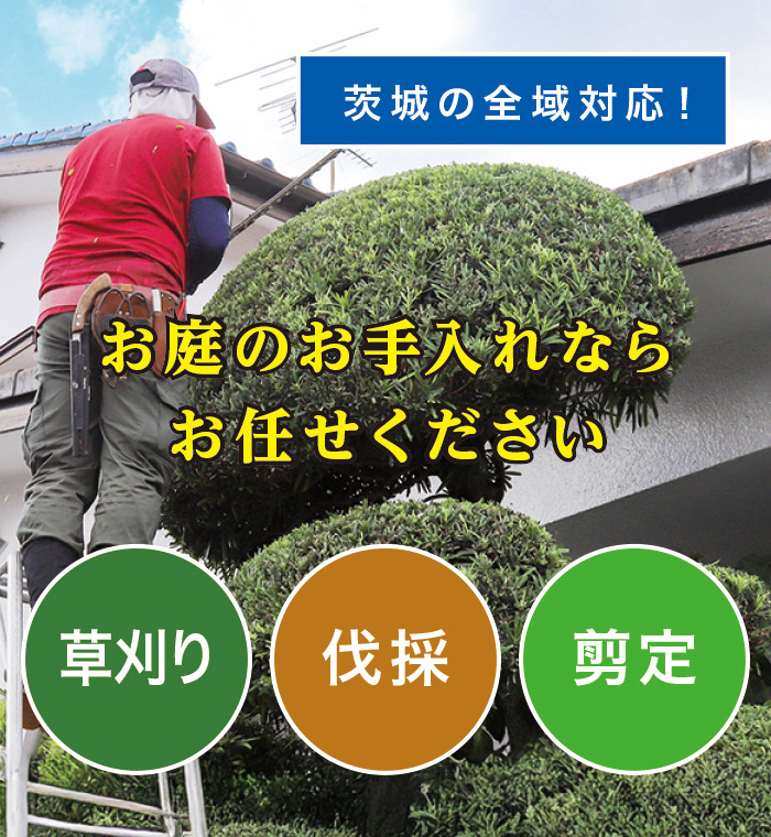 ��J�s�ő�����E����E���̂Ȃ�u����̑叫�v